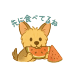 夏のヨーキー便り（個別スタンプ：27）