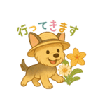 夏のヨーキー便り（個別スタンプ：28）
