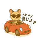 夏のヨーキー便り（個別スタンプ：30）