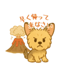夏のヨーキー便り（個別スタンプ：32）