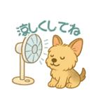 夏のヨーキー便り（個別スタンプ：33）