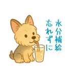 夏のヨーキー便り（個別スタンプ：34）