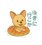 夏のヨーキー便り（個別スタンプ：37）