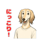 サルーキの喜怒哀楽スタンプ（個別スタンプ：1）