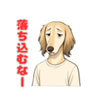 サルーキの喜怒哀楽スタンプ（個別スタンプ：3）