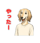 サルーキの喜怒哀楽スタンプ（個別スタンプ：4）