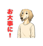 サルーキの喜怒哀楽スタンプ（個別スタンプ：10）