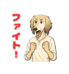 サルーキの喜怒哀楽スタンプ（個別スタンプ：12）