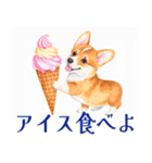 水彩感じるコーギースタンプ（個別スタンプ：8）