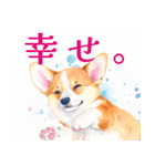 水彩感じるコーギースタンプ（個別スタンプ：17）