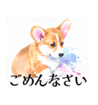 水彩感じるコーギースタンプ（個別スタンプ：25）
