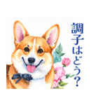 水彩感じるコーギースタンプ（個別スタンプ：31）