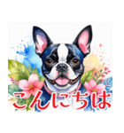 水彩感じるボストン・テリアスタンプ（個別スタンプ：1）