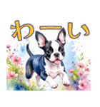 水彩感じるボストン・テリアスタンプ（個別スタンプ：4）