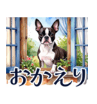水彩感じるボストン・テリアスタンプ（個別スタンプ：6）