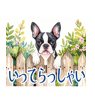 水彩感じるボストン・テリアスタンプ（個別スタンプ：9）