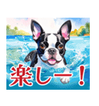 水彩感じるボストン・テリアスタンプ（個別スタンプ：11）
