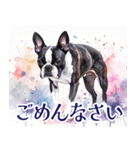 水彩感じるボストン・テリアスタンプ（個別スタンプ：16）