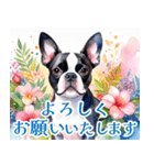 水彩感じるボストン・テリアスタンプ（個別スタンプ：20）