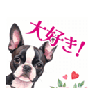水彩感じるボストン・テリアスタンプ（個別スタンプ：26）