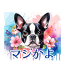 水彩感じるボストン・テリアスタンプ（個別スタンプ：27）