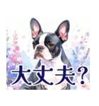 水彩感じるボストン・テリアスタンプ（個別スタンプ：29）