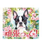 水彩感じるボストン・テリアスタンプ（個別スタンプ：34）