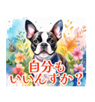 水彩感じるボストン・テリアスタンプ（個別スタンプ：37）