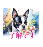 水彩感じるボストン・テリアスタンプ（個別スタンプ：39）