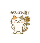 ミケタローの日常2（個別スタンプ：6）