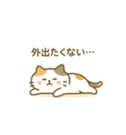 ミケタローの日常2（個別スタンプ：30）