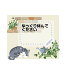 夏のおたより メッセージスタンプ 6（個別スタンプ：16）