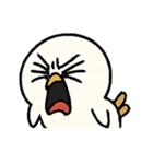 発狂インコの毎日（個別スタンプ：11）