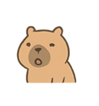 ぽっちゃりカピバラの表情（個別スタンプ：1）