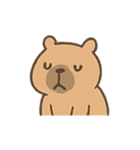 ぽっちゃりカピバラの表情（個別スタンプ：9）