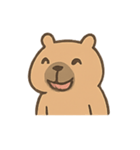 ぽっちゃりカピバラの表情（個別スタンプ：13）