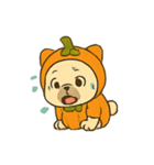 かぼちゃスーツのフレンチブル（個別スタンプ：13）