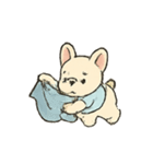 家事をがんばるフレンチブルの日常（個別スタンプ：24）