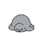 ぽてぽてハト 行進中（個別スタンプ：13）