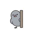 ぽてぽてハト 行進中（個別スタンプ：24）
