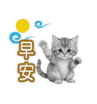 大な文字の踊り11-AI子猫（個別スタンプ：1）