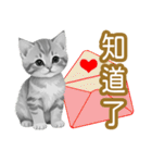 大な文字の踊り11-AI子猫（個別スタンプ：7）