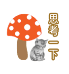 大な文字の踊り11-AI子猫（個別スタンプ：9）