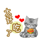 大な文字の踊り11-AI子猫（個別スタンプ：15）