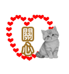 大な文字の踊り11-AI子猫（個別スタンプ：19）