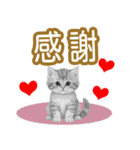 大な文字の踊り11-AI子猫（個別スタンプ：20）