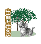 大な文字の踊り11-AI子猫（個別スタンプ：22）