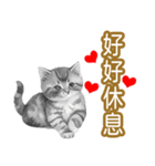 大な文字の踊り11-AI子猫（個別スタンプ：29）