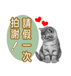 大な文字の踊り11-AI子猫（個別スタンプ：30）