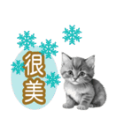大な文字の踊り11-AI子猫（個別スタンプ：33）